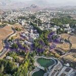 قالیشویی در صادقیه قم